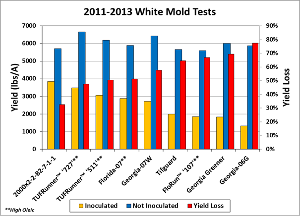 Tests for reaction to white mold in Marianna, Florida during 2011-13.  